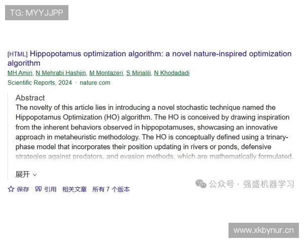 莱奥效率与观感反差解析